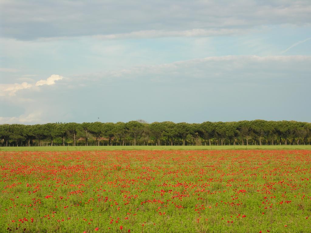 Appartamenti Villaggio San Siro Bibione Eksteriør bilde
